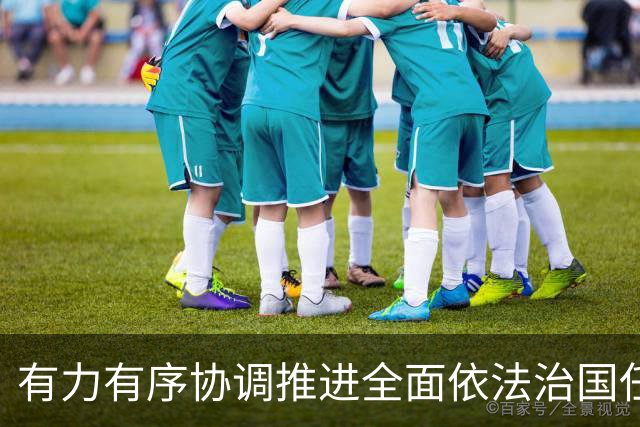 有力有序协调推进全面依法治国任务落实（权威发布·开局起步“十五五”）